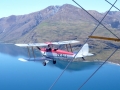 Tiger over Lake Wanaka